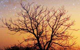 气血不足怎么补？中医教你5个实用小方法