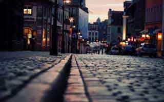 调理脾胃吃什么？