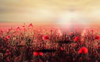 益元八珍粉怎么样 详细解析益元八珍粉的效果