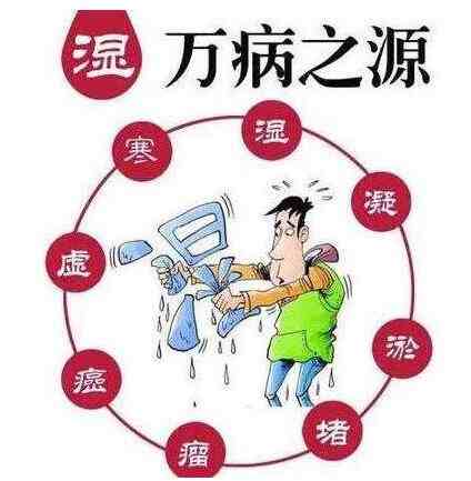 人体内的湿气过多会导致各种疾病