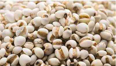 专家详解、薏米真的可以祛除湿气吗？