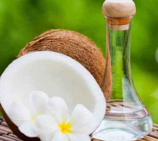 科学家发现椰子油可以减肥