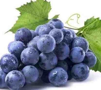 葡萄中含有的褪黑素可以缓解失眠