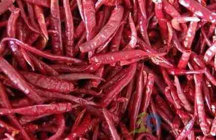 怎么吃辣才能不上火？