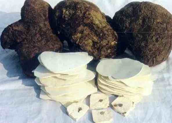 这东西 一般人吃了除湿气养容颜