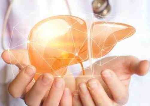 保养肝脏要注意些什么？