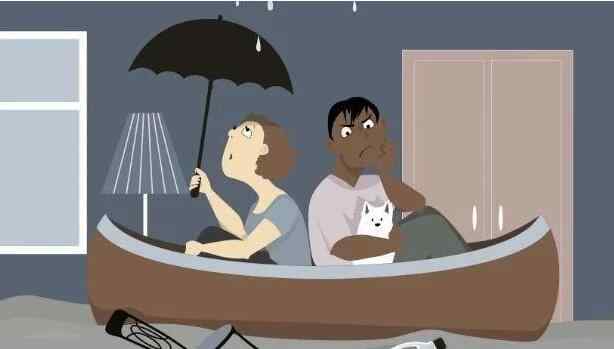 这4个小物堪称“天然除湿机” 放着就能吸湿气