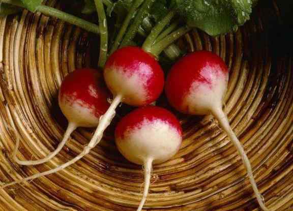 这些食物不但能顺气还能去火