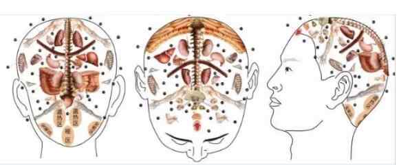 养生先养头，老了不发愁