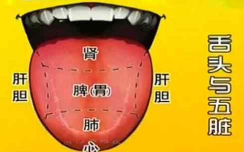 如何看舌苔给宝宝诊病