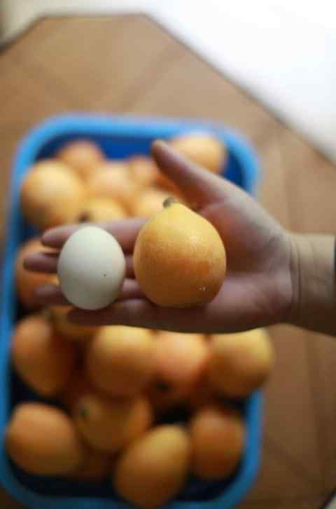 鸡蛋大的云霄枇杷