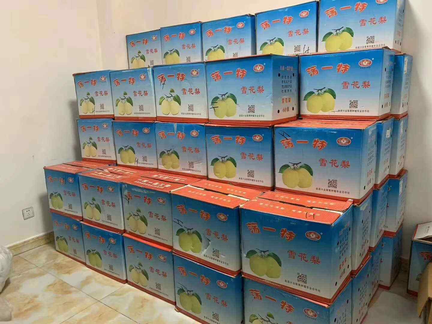 万事俱备，只欠解封