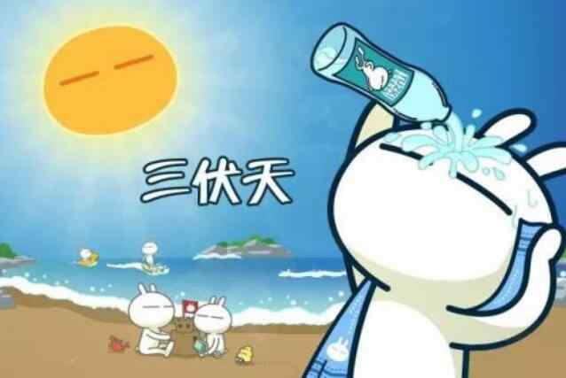 三伏天要特别注意脾的保养