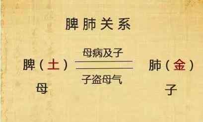 脾肺虚弱.jpg 脾肺虚弱.jpg