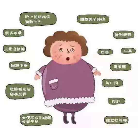 调理案例：湿气肥胖怎么能瘦下来？中医怎么调理！