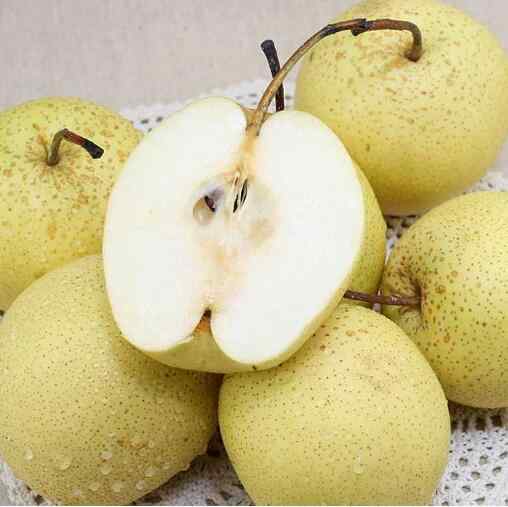 秋梨膏的功效与作用 秋梨.jpg