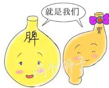 脾胃是属土的,肺是属金的.jpg 脾胃是属土的,肺是属金的.jpg