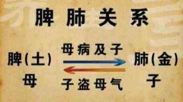 脾土生肺金.jpg 脾土生肺金.jpg