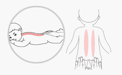 1捏脊.gif 1捏脊.gif