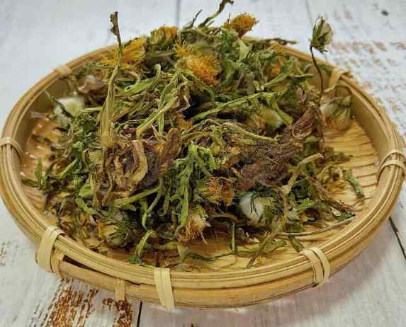 长白山野生蒲公英.jpg 长白山野生蒲公英.jpg