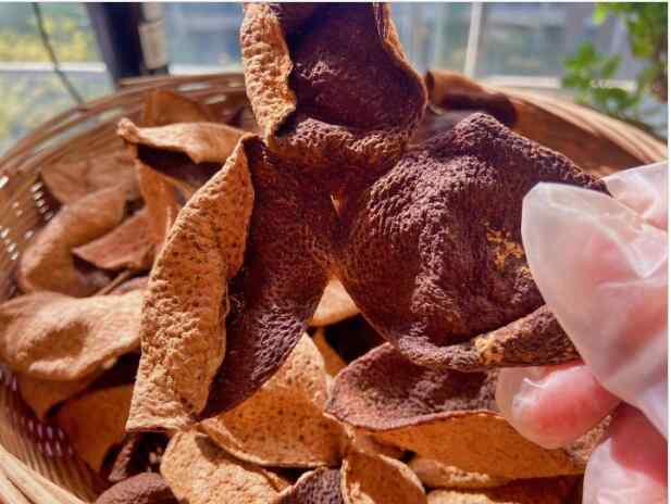 天马村5年陈皮.jpg 天马村5年陈皮.jpg