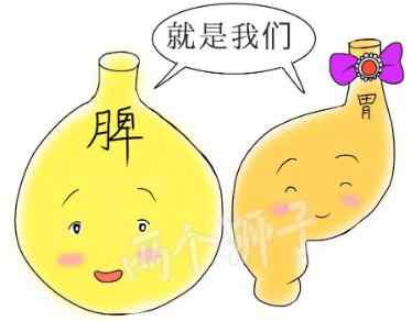 什么是脾胃不和