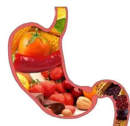 吃太多身体无法快速消化的食物.jpg 吃太多身体无法快速消化的食物.jpg