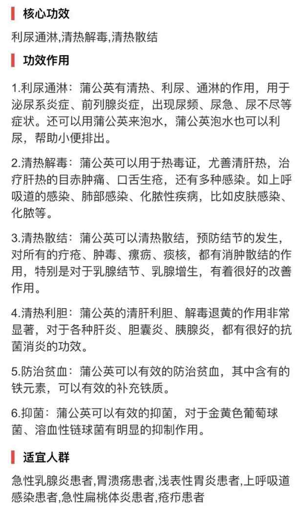 疏肝解郁蒲公英玫瑰膏功效 疏肝解郁蒲公英玫瑰膏功效