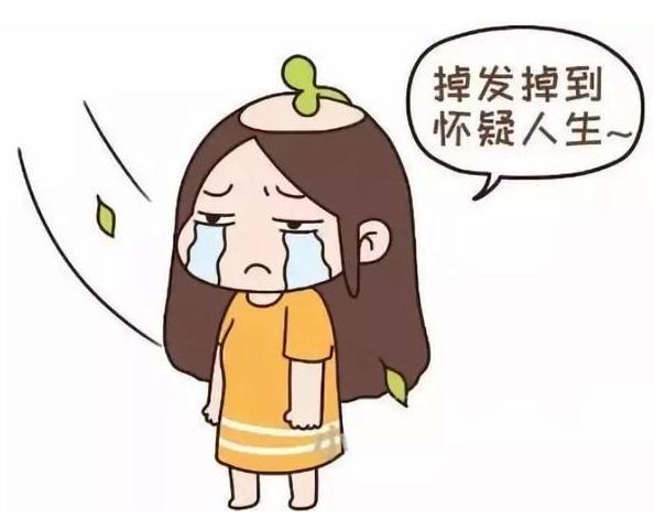 气血虚会引起脱发吗,要怎么调理？