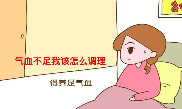 气血不足我该怎么调理,中医食疗古方就能大补气血