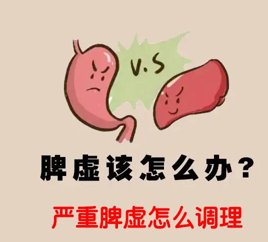 严重脾虚怎么调理.jpg 严重脾虚怎么调理.jpg