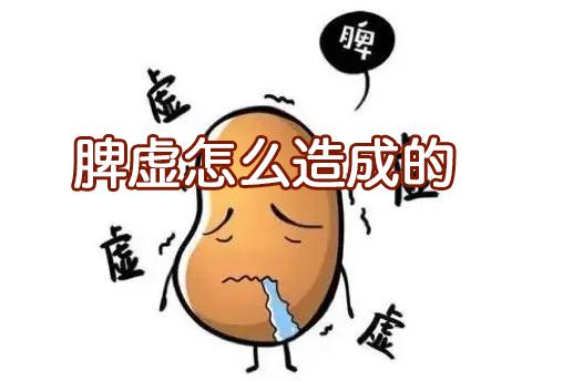 脾虚怎么造成的?这些原因都会导致脾虚