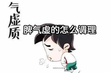 脾气虚的怎么调理？健脾补气虚就用它