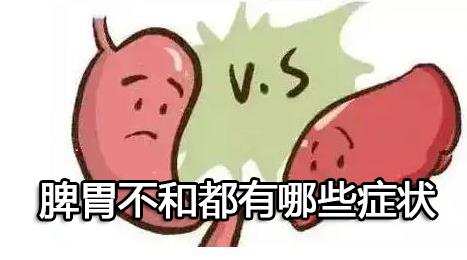 脾胃不和都有哪些症状