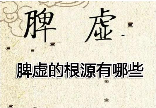 脾虚的根源有哪些?没想到这些都会导致脾虚.jpg 脾虚的根源有哪些?没想到这些都会导致脾虚.jpg