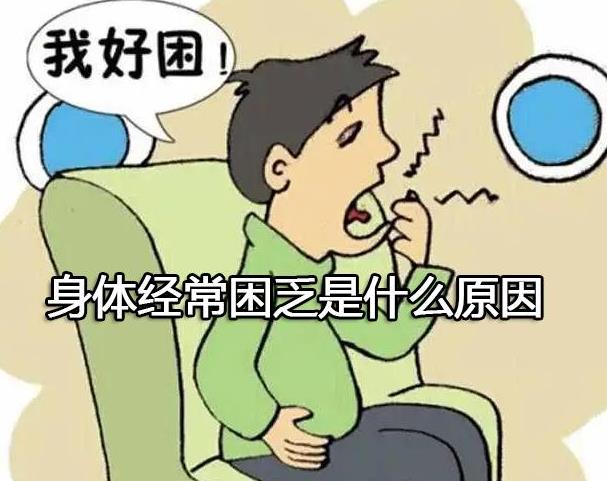 身体经常困乏是什么原因