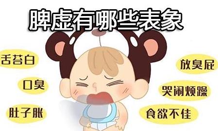 脾虚有哪些表象