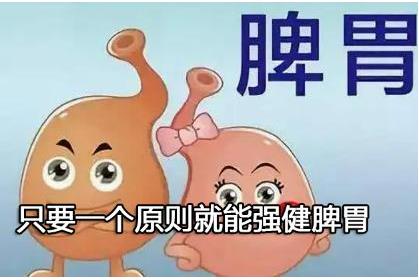 只要一个原则就能强健脾胃