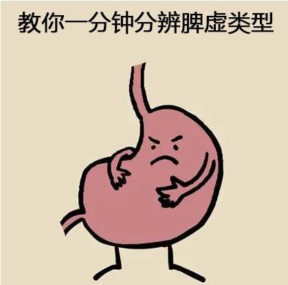 教你一分钟分辨脾虚类型、看看你是哪一种脾虚
