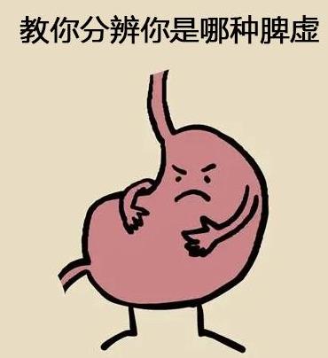 教你分辨你是哪种脾虚