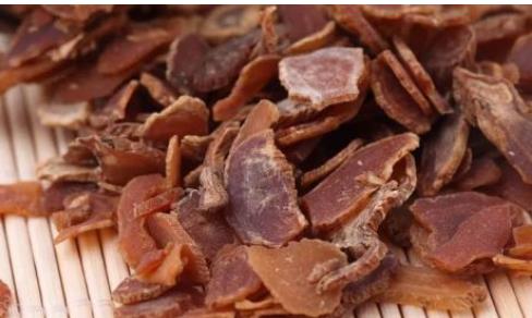 适合脾阳虚调理的药材