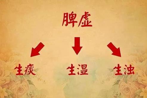 4个健脾方法，告别脾虚精神好