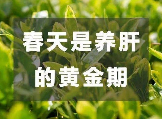 春天是肝气升发的季节，肝气的疏泄是最为重要的