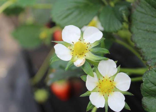 入夏前养生小贴士.jpg 入夏前养生小贴士.jpg