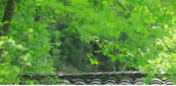 大暑过后，身体堵、脾胃差的人要遭罪了！