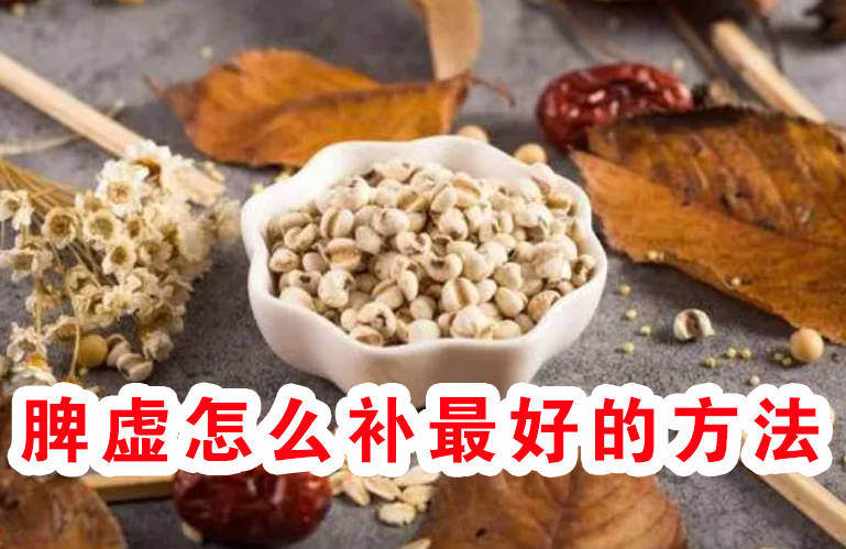 脾虚怎么补最好的方法、一个传承百年的食疗古方！