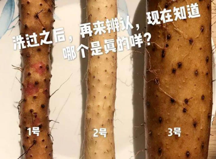 如何分辨真假温县垆土铁棍山药5.jpg