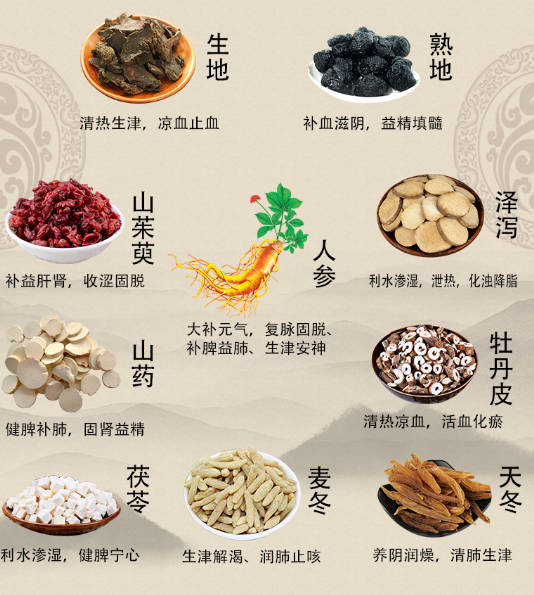 男人肾虚脾虚的中医食补偏方