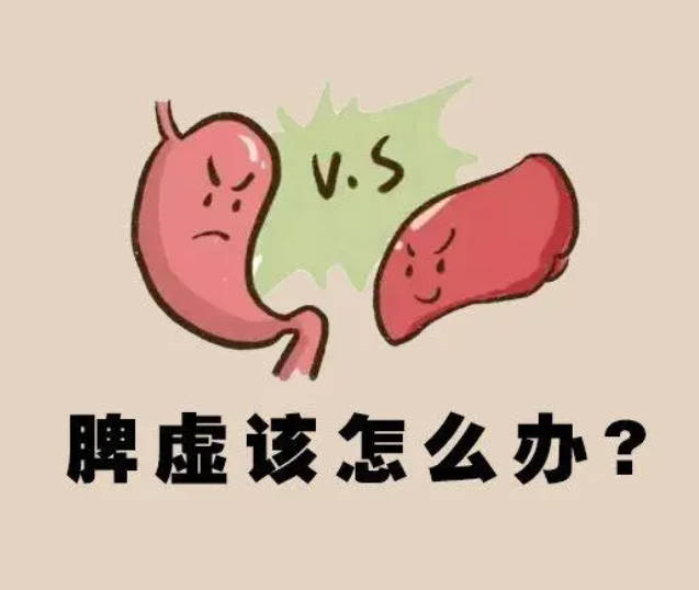 脾胃虚弱怎么办