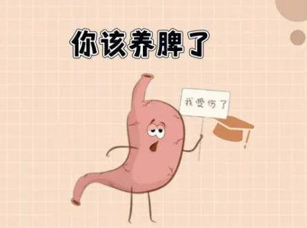 女性如何养好脾胃 推荐4个养脾小妙招